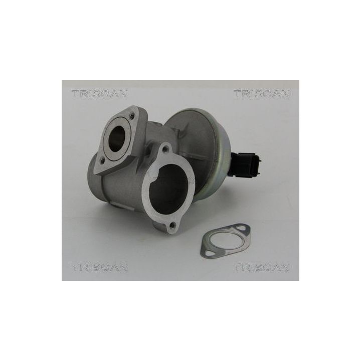 ERG vožtuvas TRISCAN 8813 16012