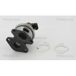 ERG vožtuvas TRISCAN 8813 17100