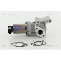 ERG vožtuvas TRISCAN 8813 18038