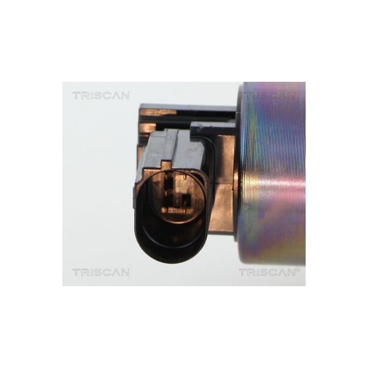ERG vožtuvas TRISCAN 8813 18038