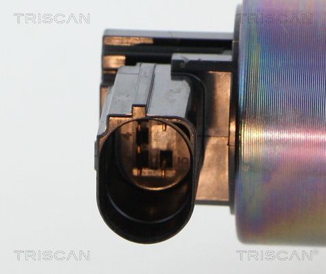 ERG vožtuvas TRISCAN 8813 18038