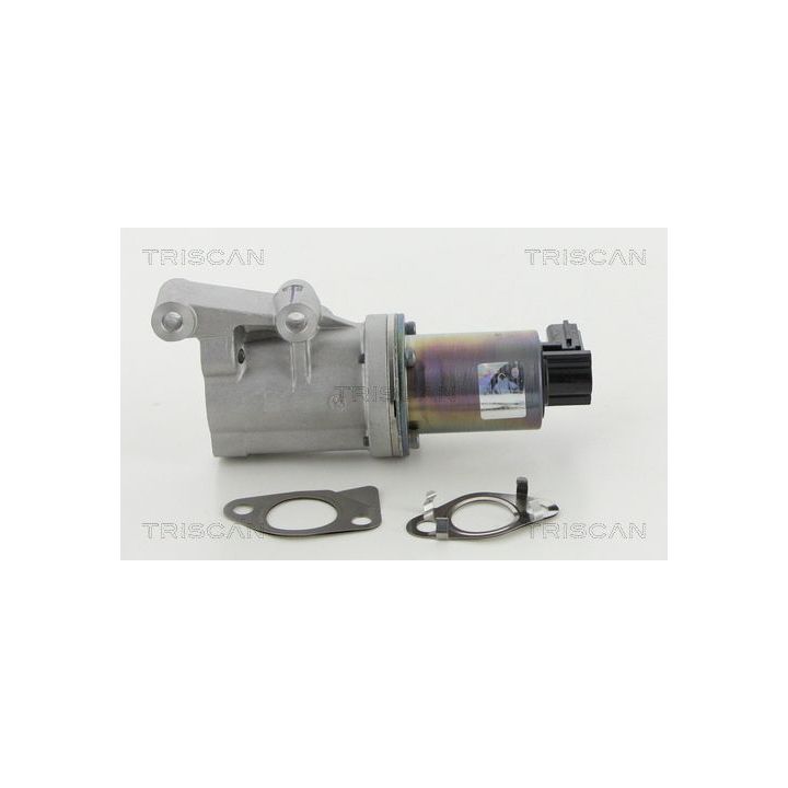 ERG vožtuvas TRISCAN 8813 18038