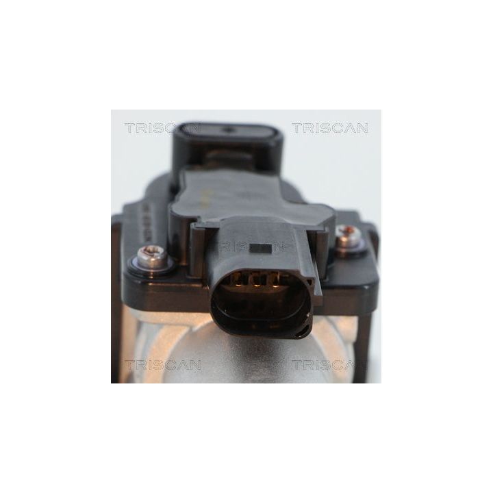 ERG vožtuvas TRISCAN 8813 18045