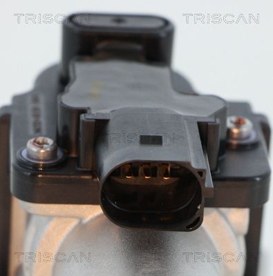 ERG vožtuvas TRISCAN 8813 18045