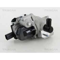 ERG vožtuvas TRISCAN 8813 18046