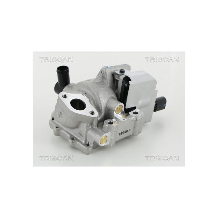 ERG vožtuvas TRISCAN 8813 18046