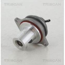 ERG vožtuvas TRISCAN 8813 23207