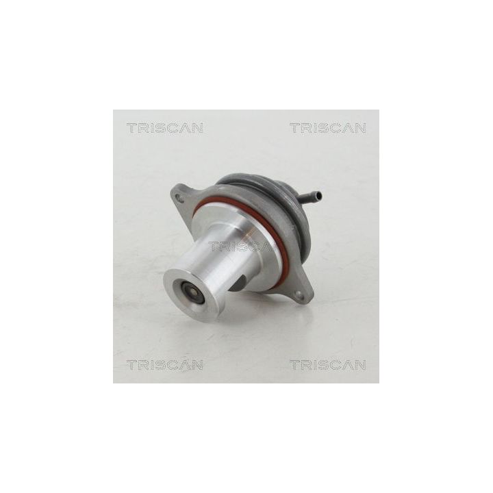 ERG vožtuvas TRISCAN 8813 23207