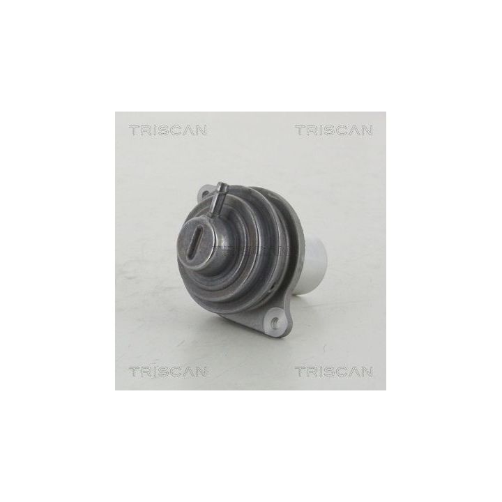 ERG vožtuvas TRISCAN 8813 23207