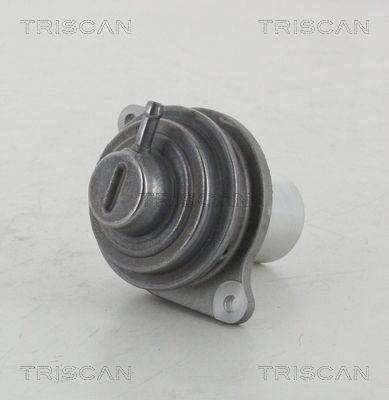 ERG vožtuvas TRISCAN 8813 23207