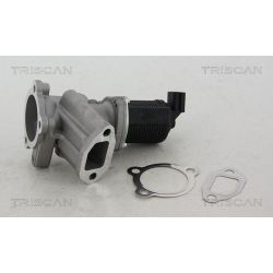 ERG vožtuvas TRISCAN 8813 24012