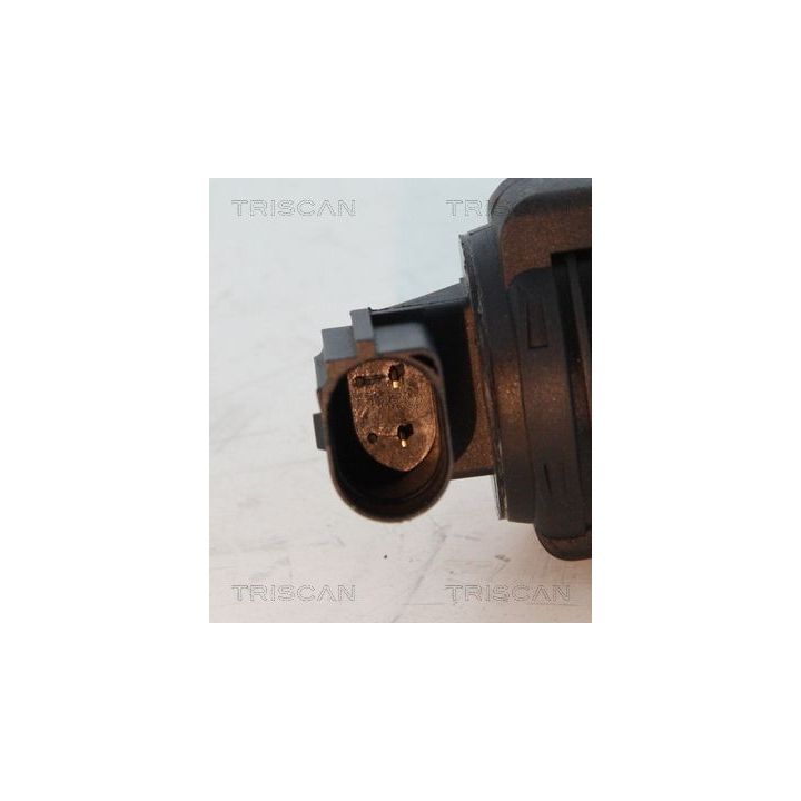 ERG vožtuvas TRISCAN 8813 24012