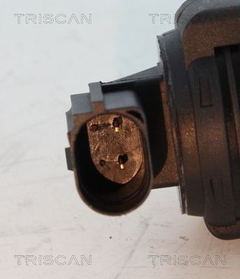 ERG vožtuvas TRISCAN 8813 24012