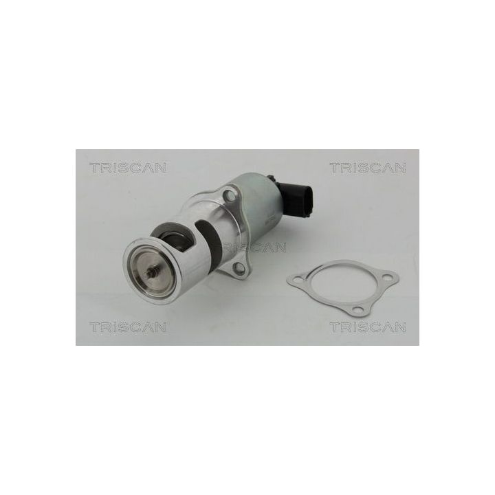 ERG vožtuvas TRISCAN 8813 24037