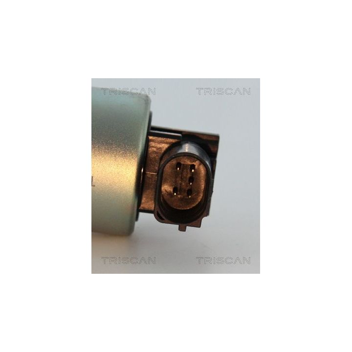 ERG vožtuvas TRISCAN 8813 24037