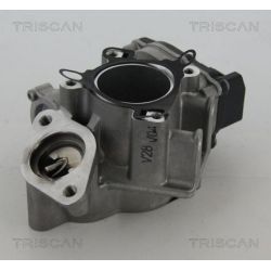 ERG vožtuvas TRISCAN 8813 24039