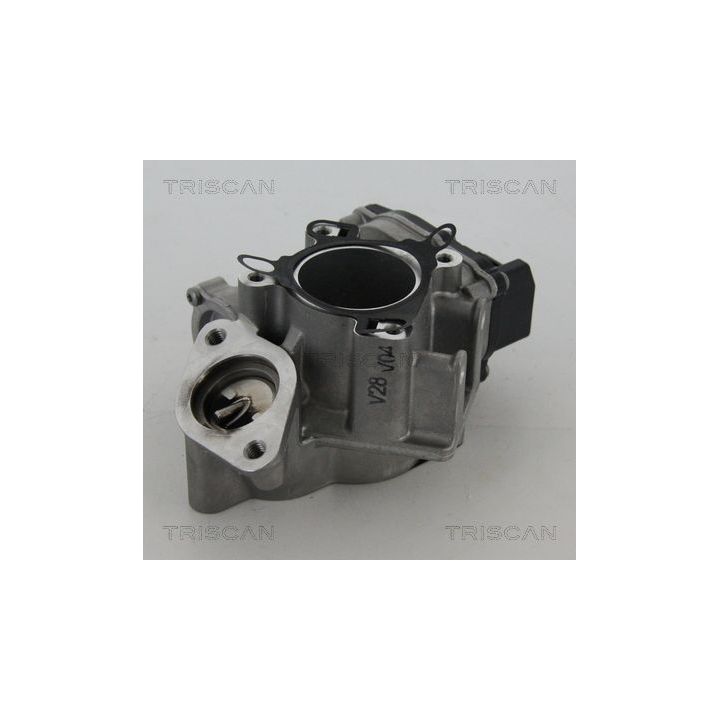 ERG vožtuvas TRISCAN 8813 24039