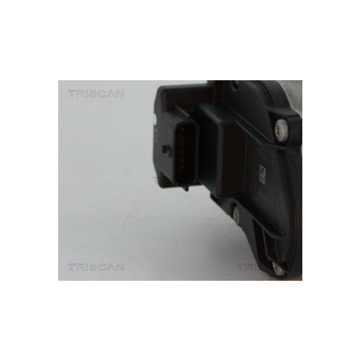 ERG vožtuvas TRISCAN 8813 24039