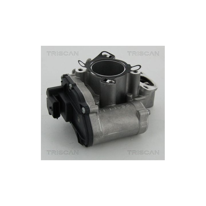 ERG vožtuvas TRISCAN 8813 24039