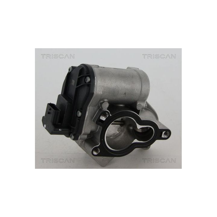 ERG vožtuvas TRISCAN 8813 24039