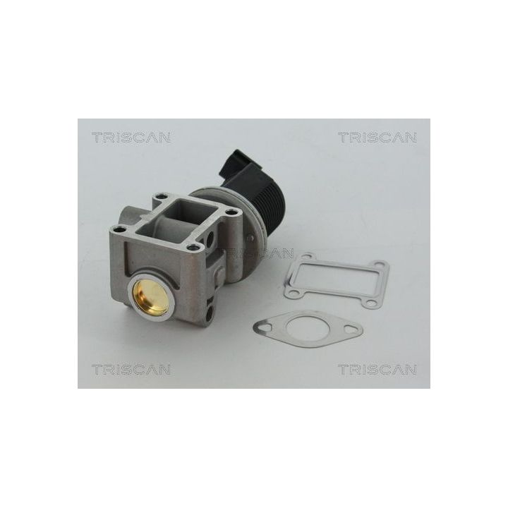 ERG vožtuvas TRISCAN 8813 24082