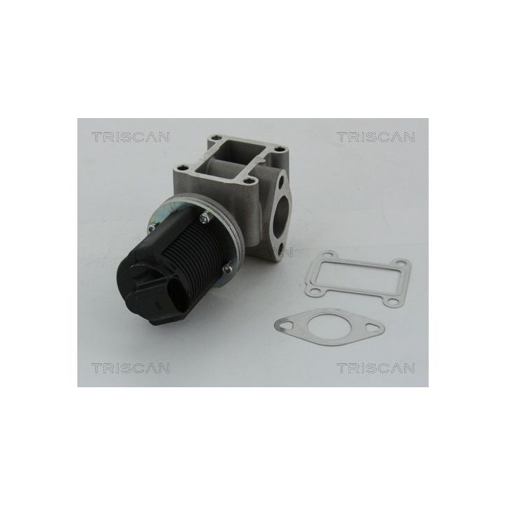 ERG vožtuvas TRISCAN 8813 24082