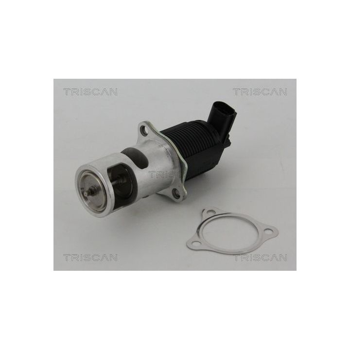 ERG vožtuvas TRISCAN 8813 25005