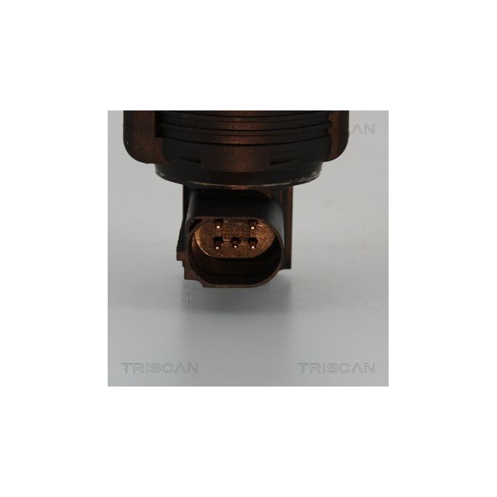 ERG vožtuvas TRISCAN 8813 25005