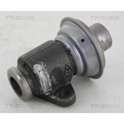 ERG vožtuvas TRISCAN 8813 25006