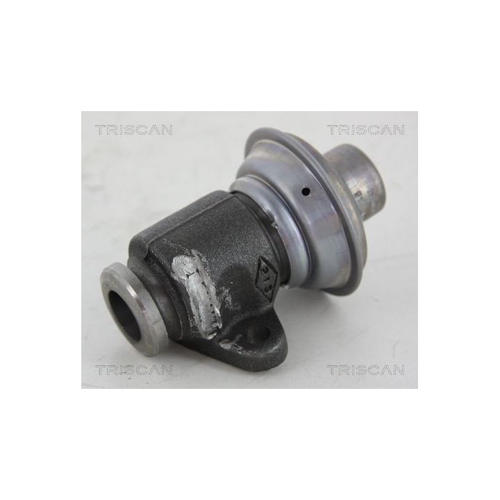 ERG vožtuvas TRISCAN 8813 25006