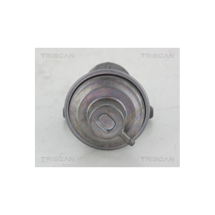 ERG vožtuvas TRISCAN 8813 25006