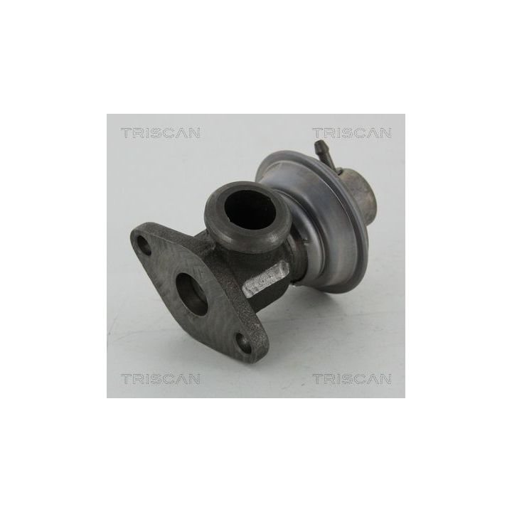 ERG vožtuvas TRISCAN 8813 25011