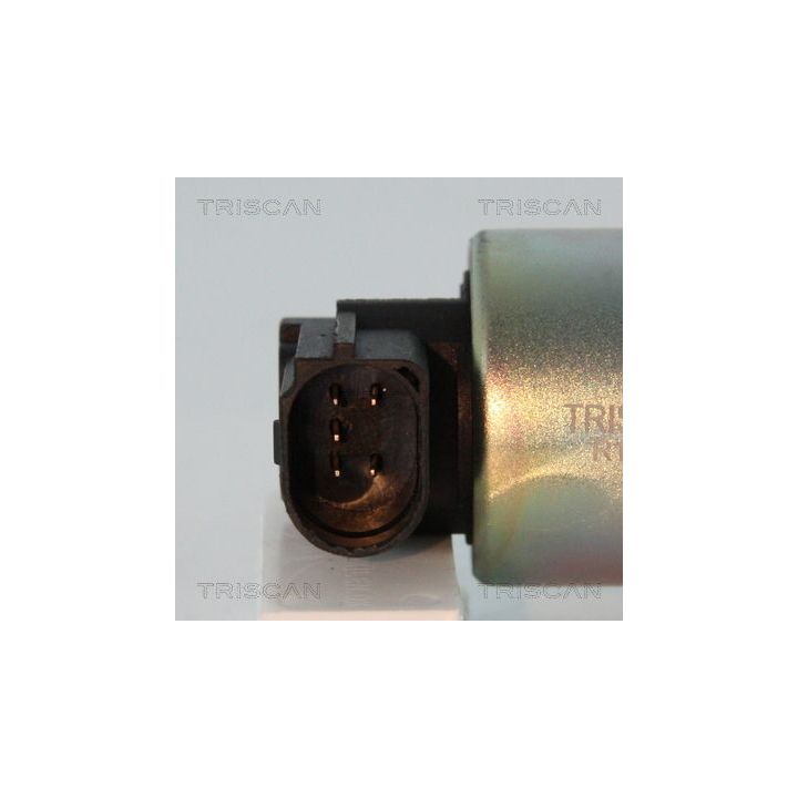 ERG vožtuvas TRISCAN 8813 25011