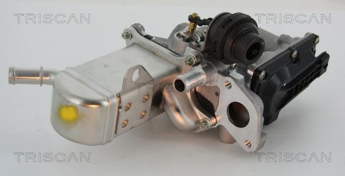 ERG vožtuvas TRISCAN 8813 25013