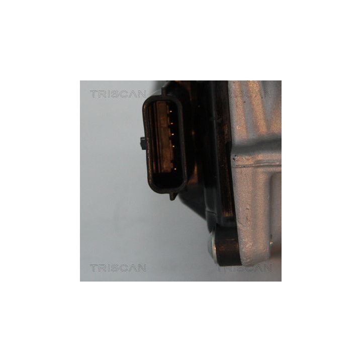 ERG vožtuvas TRISCAN 8813 25013