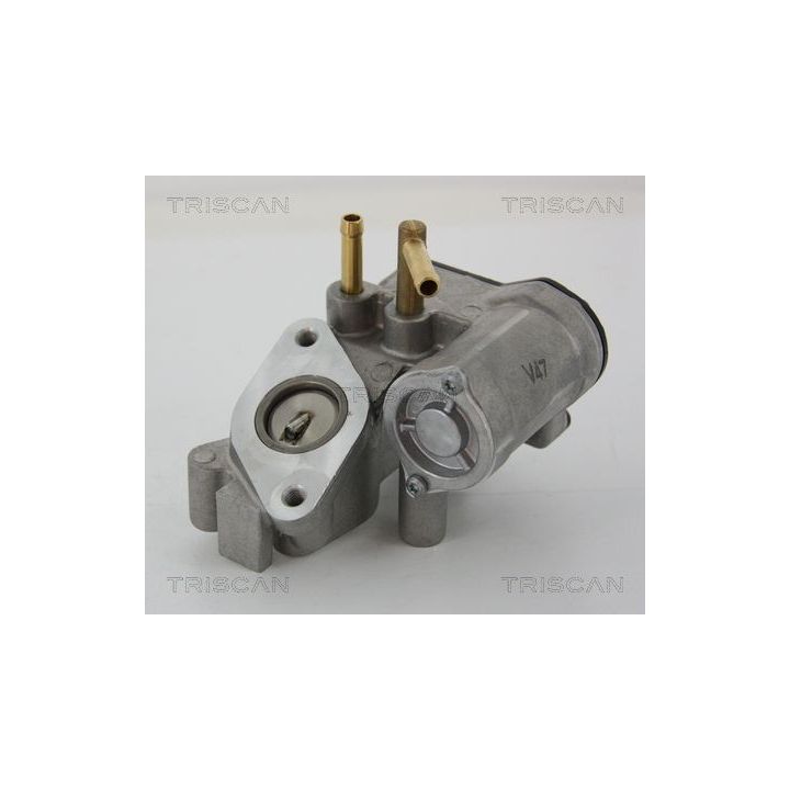 ERG vožtuvas TRISCAN 8813 25018