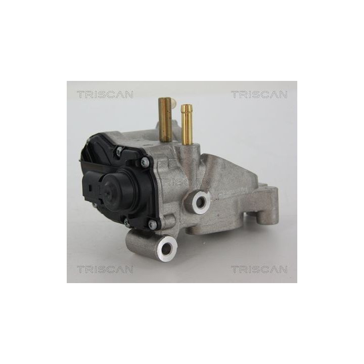 ERG vožtuvas TRISCAN 8813 25018