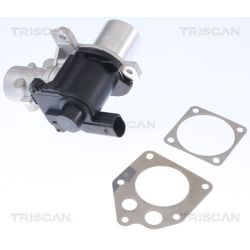 ERG vožtuvas TRISCAN 8813 25036