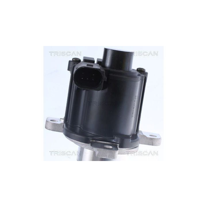 ERG vožtuvas TRISCAN 8813 25036