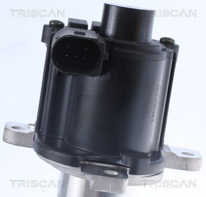 ERG vožtuvas TRISCAN 8813 25036