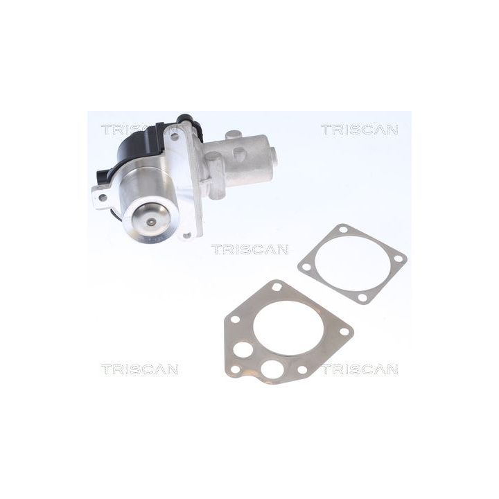 ERG vožtuvas TRISCAN 8813 25036