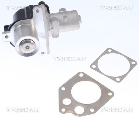 ERG vožtuvas TRISCAN 8813 25036