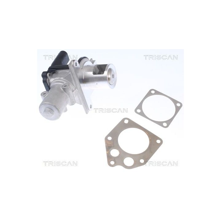 ERG vožtuvas TRISCAN 8813 25036