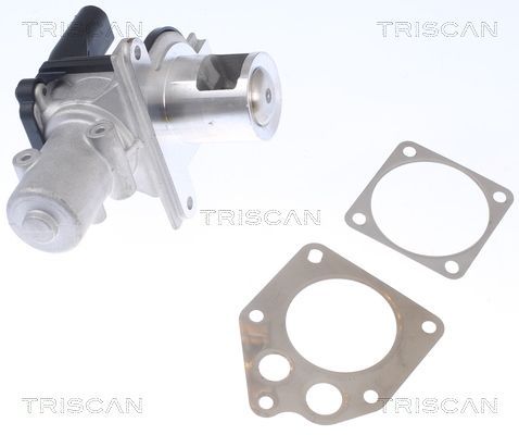 ERG vožtuvas TRISCAN 8813 25036