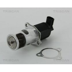 ERG vožtuvas TRISCAN 8813 25038