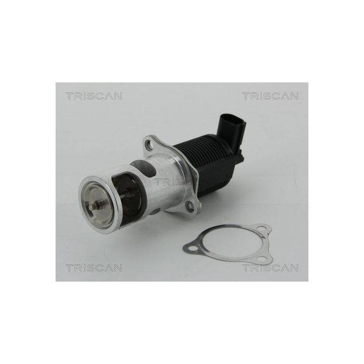 ERG vožtuvas TRISCAN 8813 25038