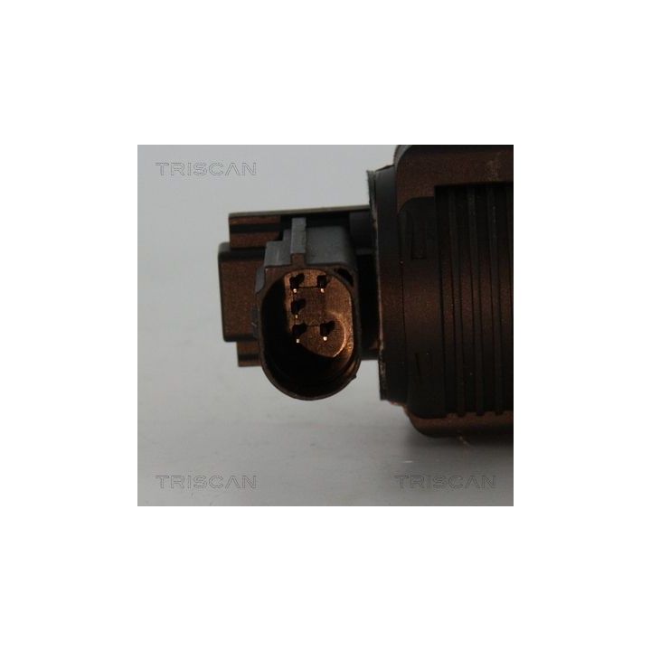 ERG vožtuvas TRISCAN 8813 25038