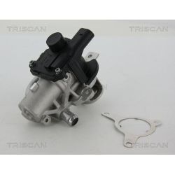 ERG vožtuvas TRISCAN 8813 25039