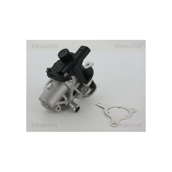 ERG vožtuvas TRISCAN 8813 25039