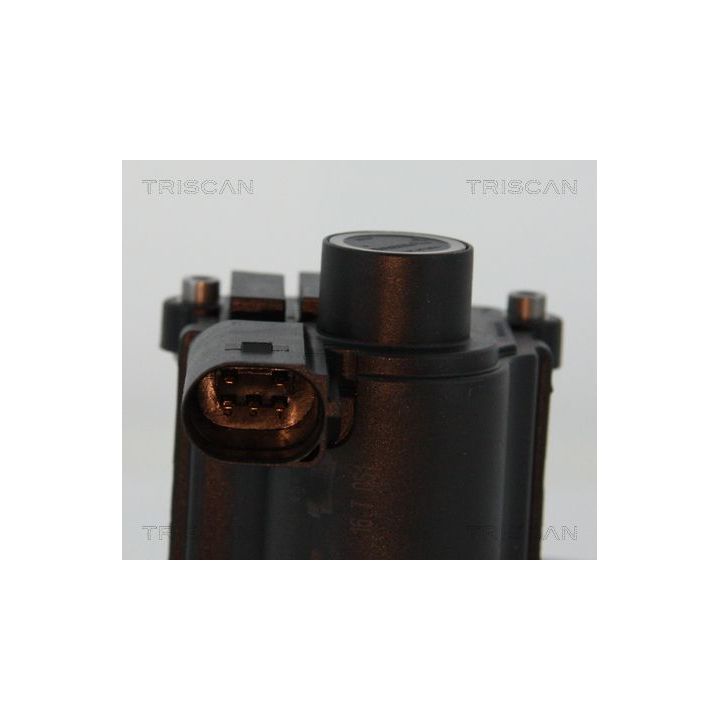 ERG vožtuvas TRISCAN 8813 25039